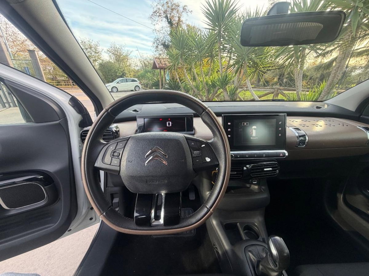 Citroen C4 Cactus BlueHDi 100 Shine (20)