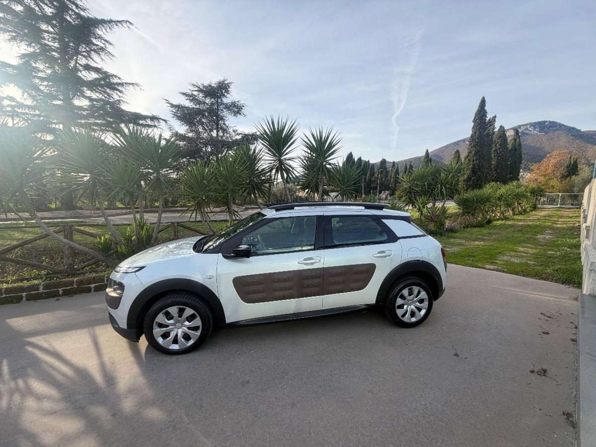 Citroen C4 Cactus BlueHDi 100 Shine (3)