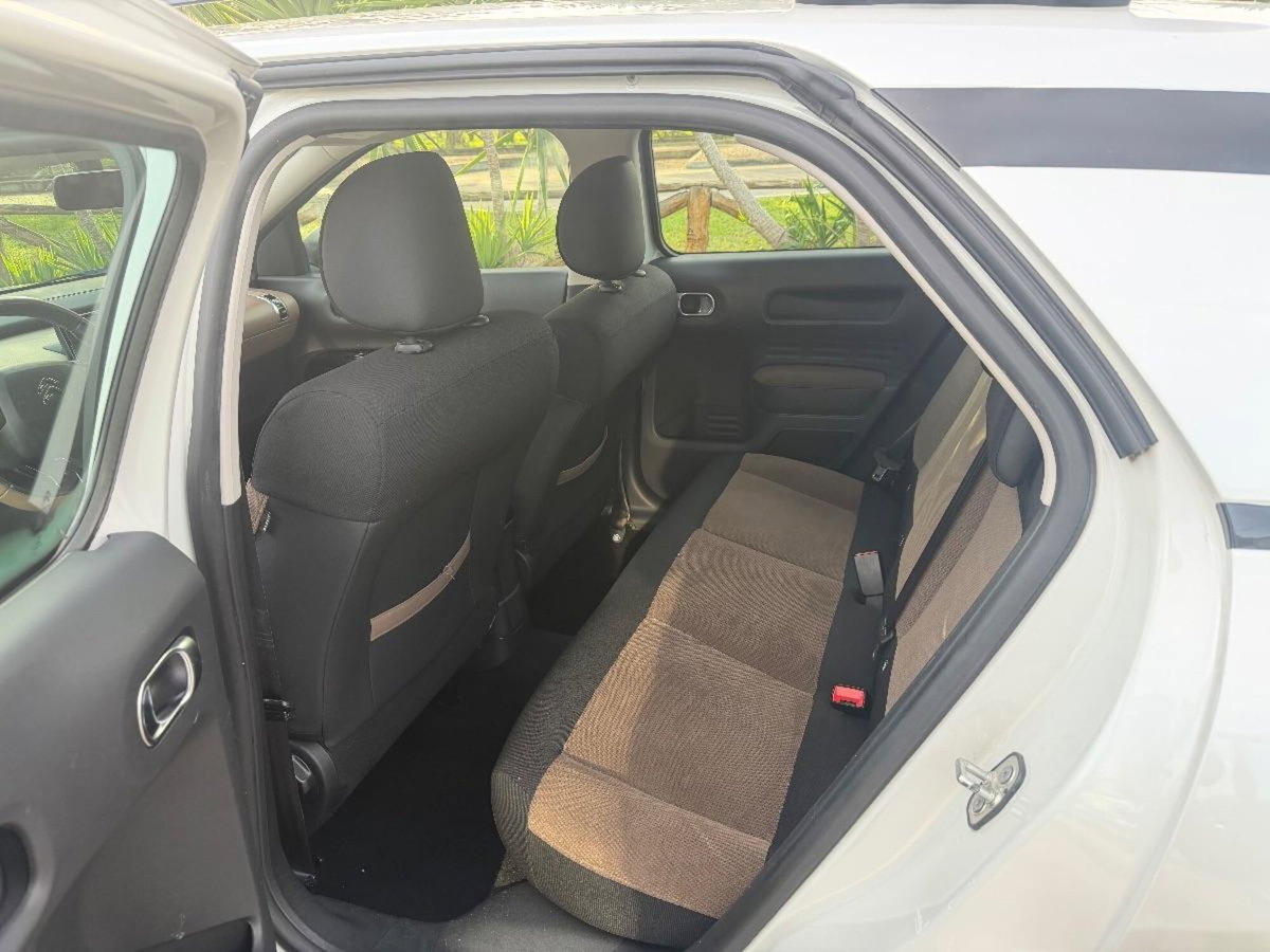 Citroen C4 Cactus BlueHDi 100 Shine (6)