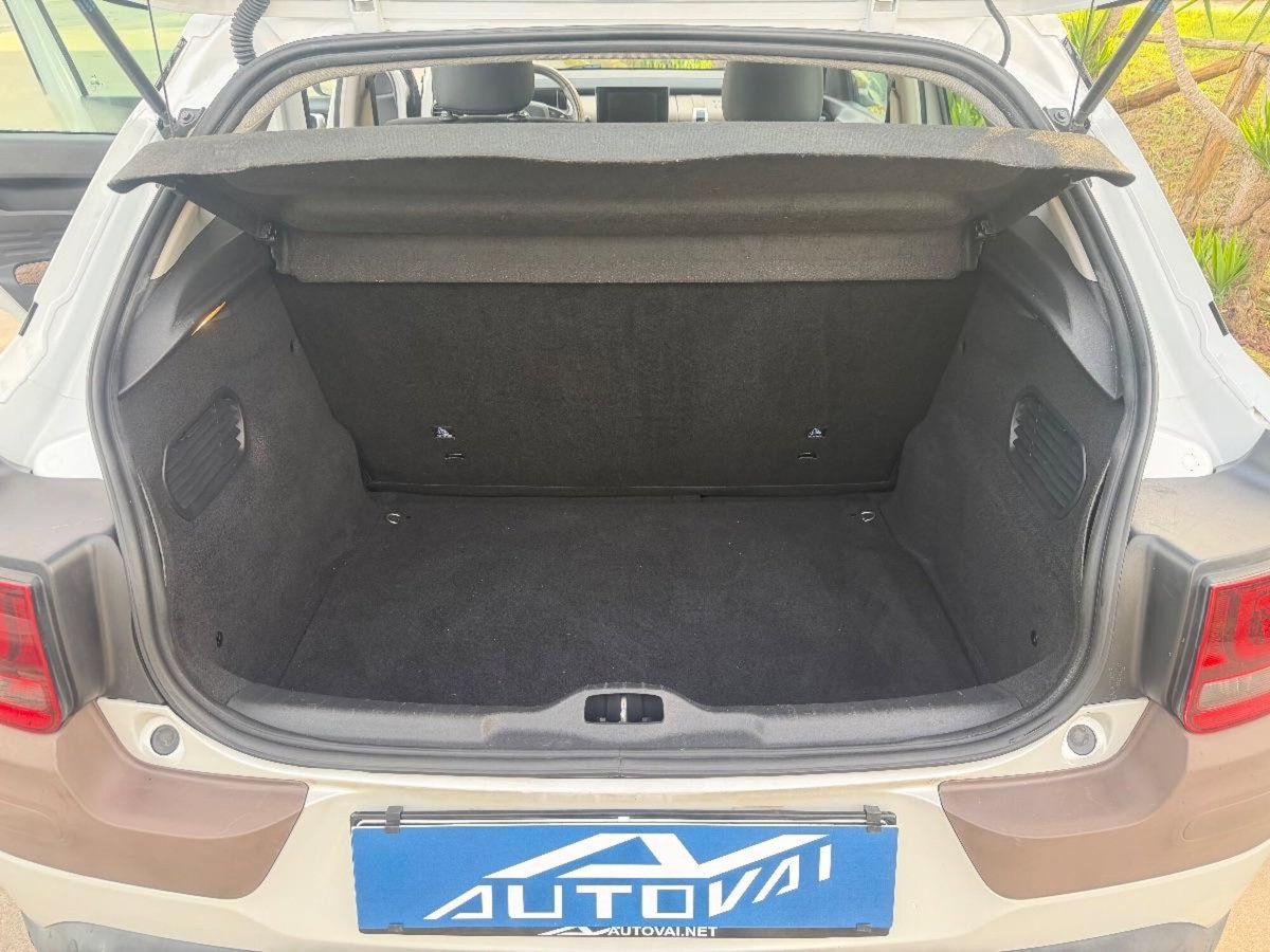 Citroen C4 Cactus BlueHDi 100 Shine (7)