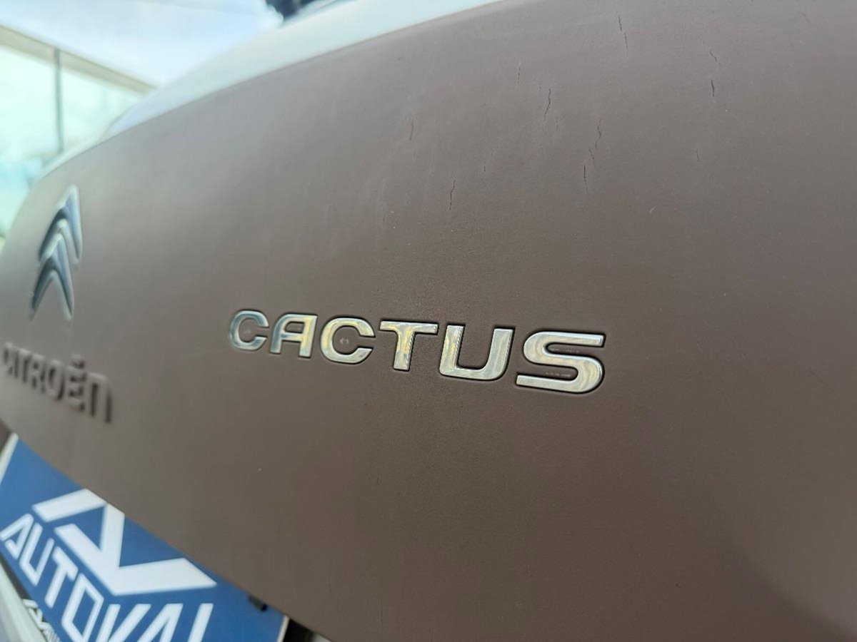 Citroen C4 Cactus BlueHDi 100 Shine (9)