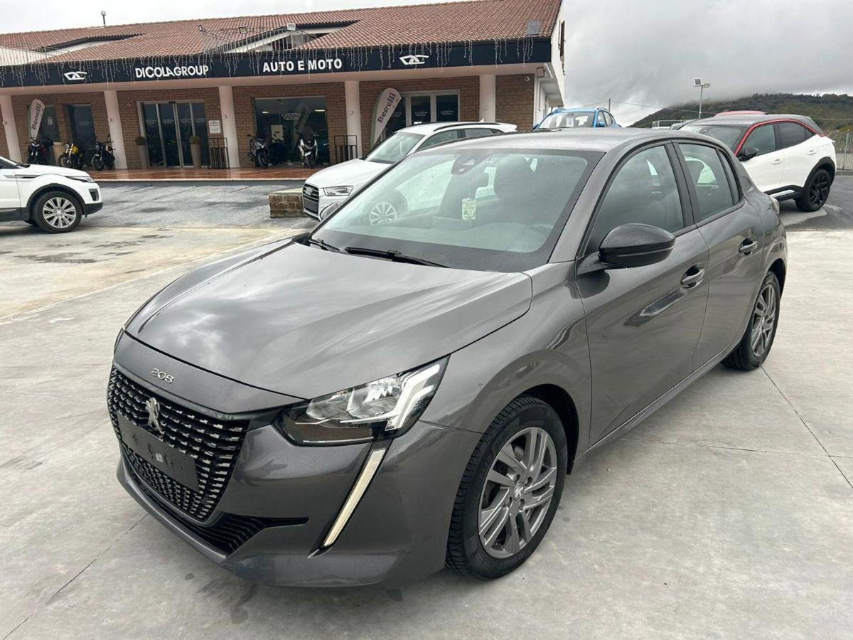Peugeot 208 PureTech 100 Stop&Start 5 porte Active (3)