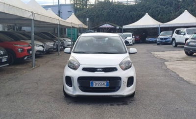 Kia Picanto 1.0 12V EcoGPL 5 porte City Limited usata
