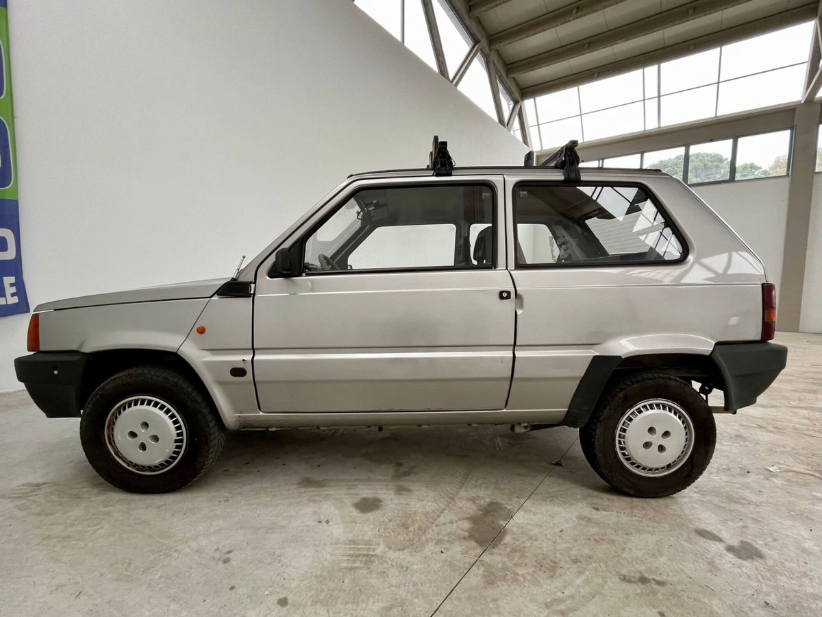 Fiat Panda 1100 i.e. cat Young (14)