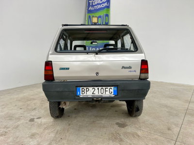 Fiat Panda 1100 i.e. cat Young (17)
