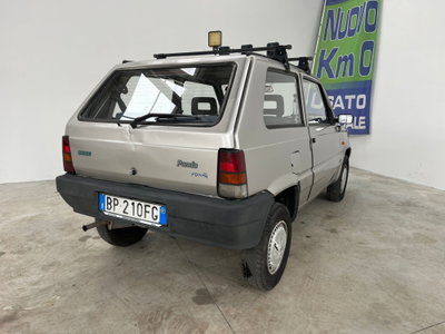 Fiat Panda 1100 i.e. cat Young (18)