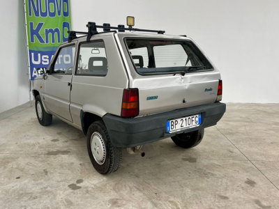 Fiat Panda 1100 i.e. cat Young (19)