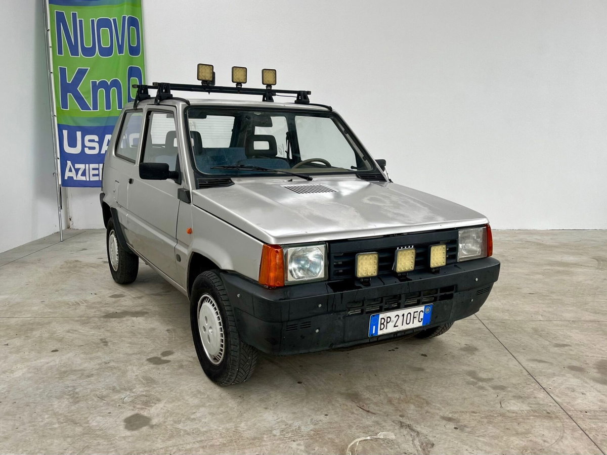 Fiat Panda 1100 i.e. cat Young (3)