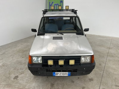 Fiat Panda 1100 i.e. cat Young (4)