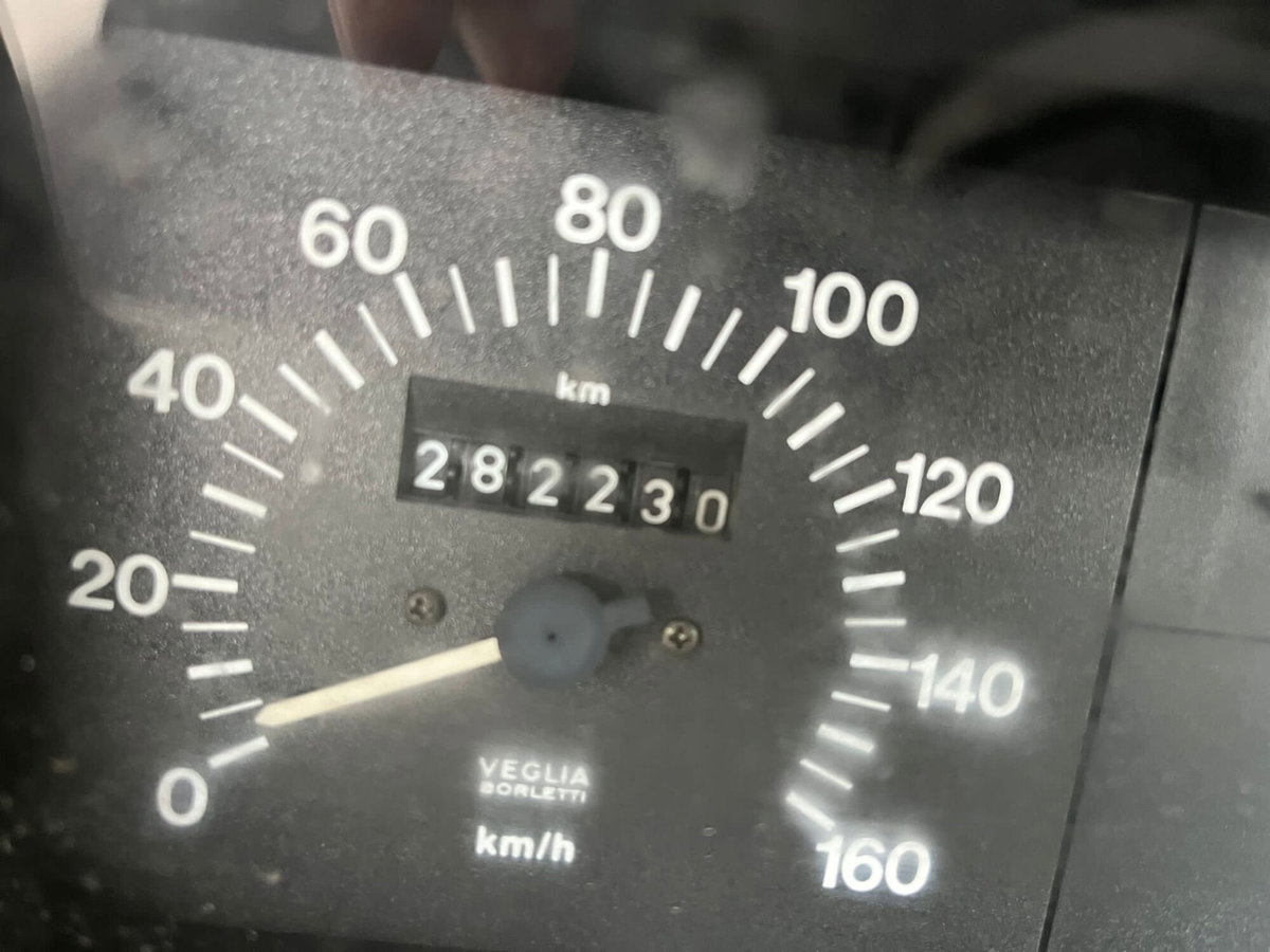 Fiat Panda 1100 i.e. cat Young (7)