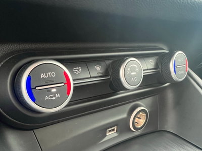 Alfa Romeo Stelvio Stelvio 2.2 Turbodiesel 160 CV AT8 RWD Super Business (17)