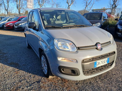 Fiat Panda 1.0 FireFly S&S Hybrid City Life usata