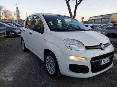 Fiat Panda 1.0 FireFly S&S Hybrid City Life usata