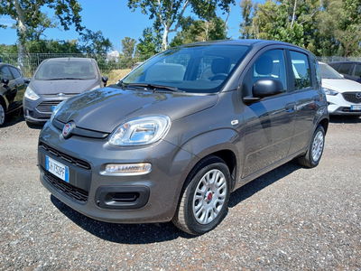 Fiat Panda Cross Cross 1.0 FireFly S&S Hybrid usata