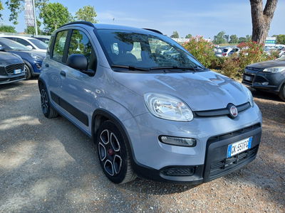 Fiat Panda 1.0 FireFly S&S Hybrid City Life usata