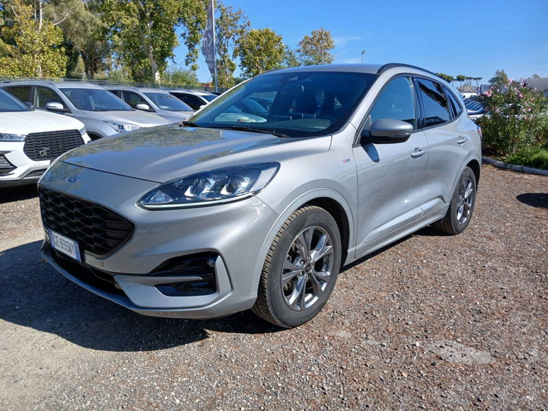 Ford Kuga 1.5 EcoBlue 120 CV aut. 2WD ST-Line X