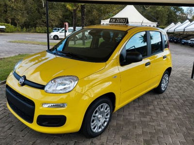 Fiat Panda 1.0 firefly hybrid s&s 70cv 5p.ti nuova