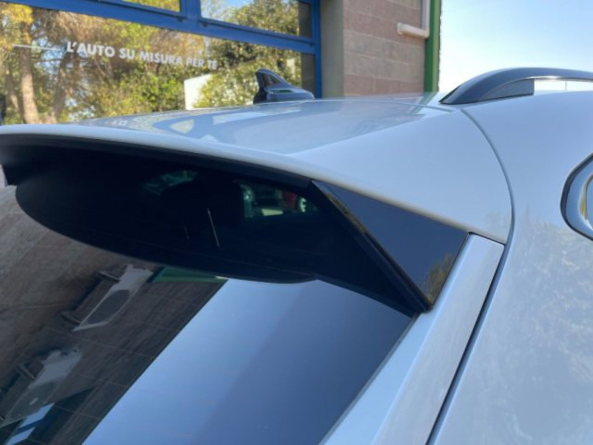 Cupra Formentor Formentor 2.0 TDI (11)