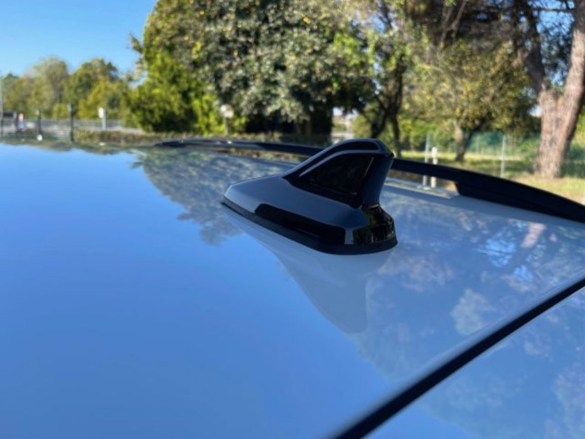 Cupra Formentor Formentor 2.0 TDI (12)