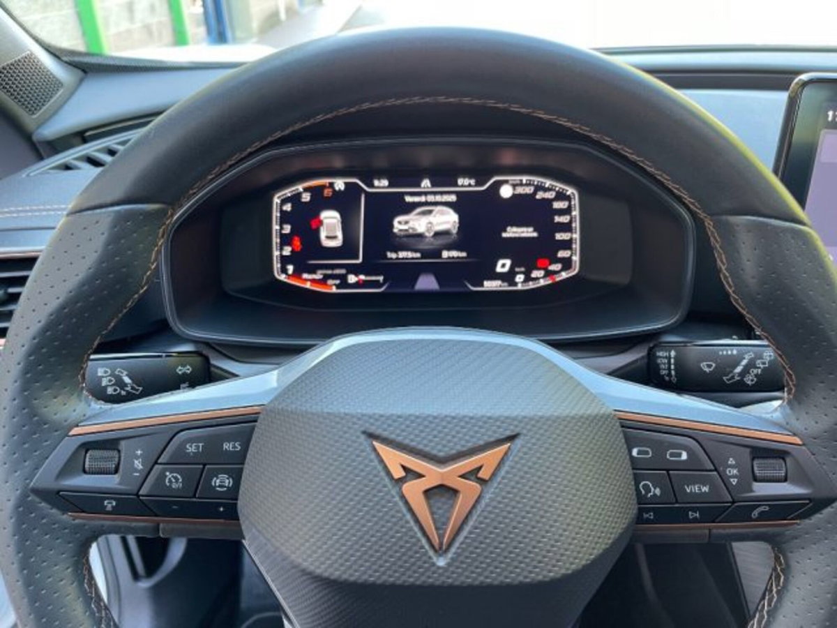 Cupra Formentor Formentor 2.0 TDI (13)