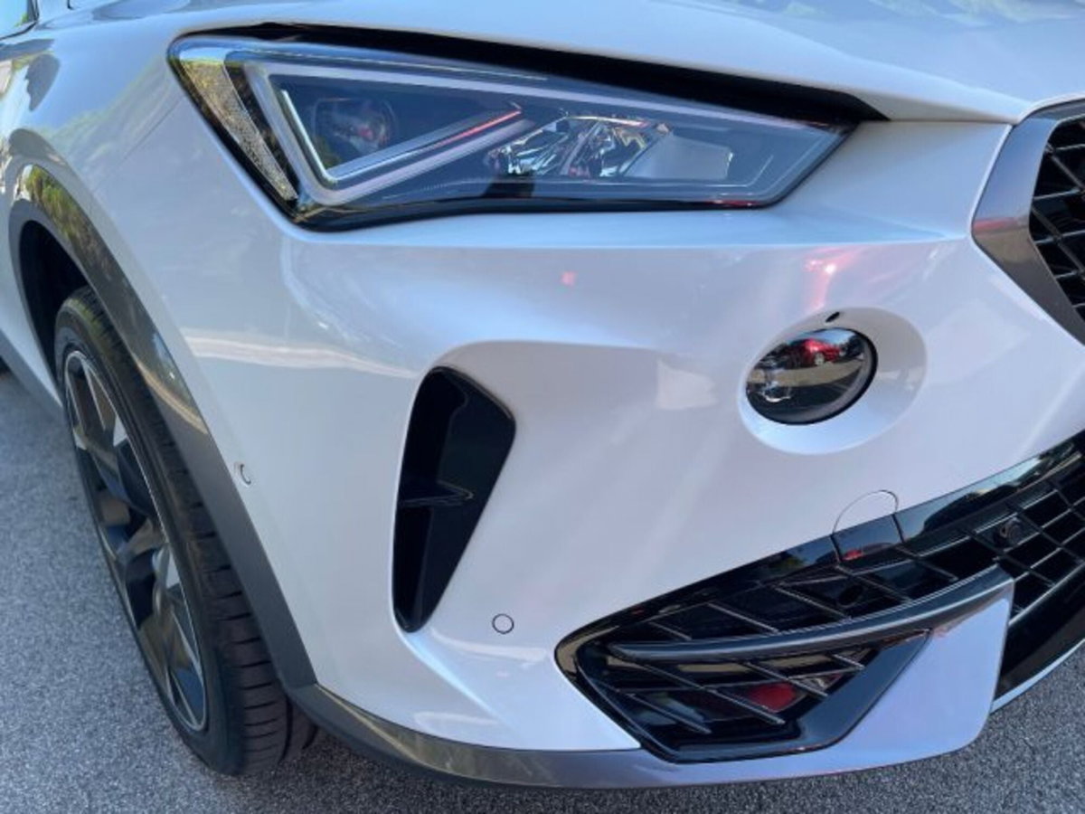 Cupra Formentor Formentor 2.0 TDI (6)