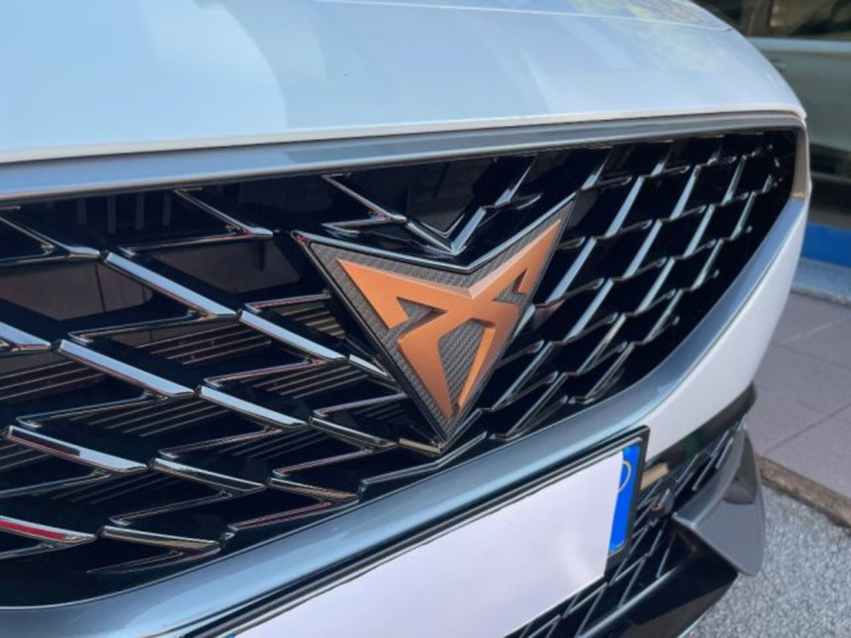 Cupra Formentor Formentor 2.0 TDI (7)