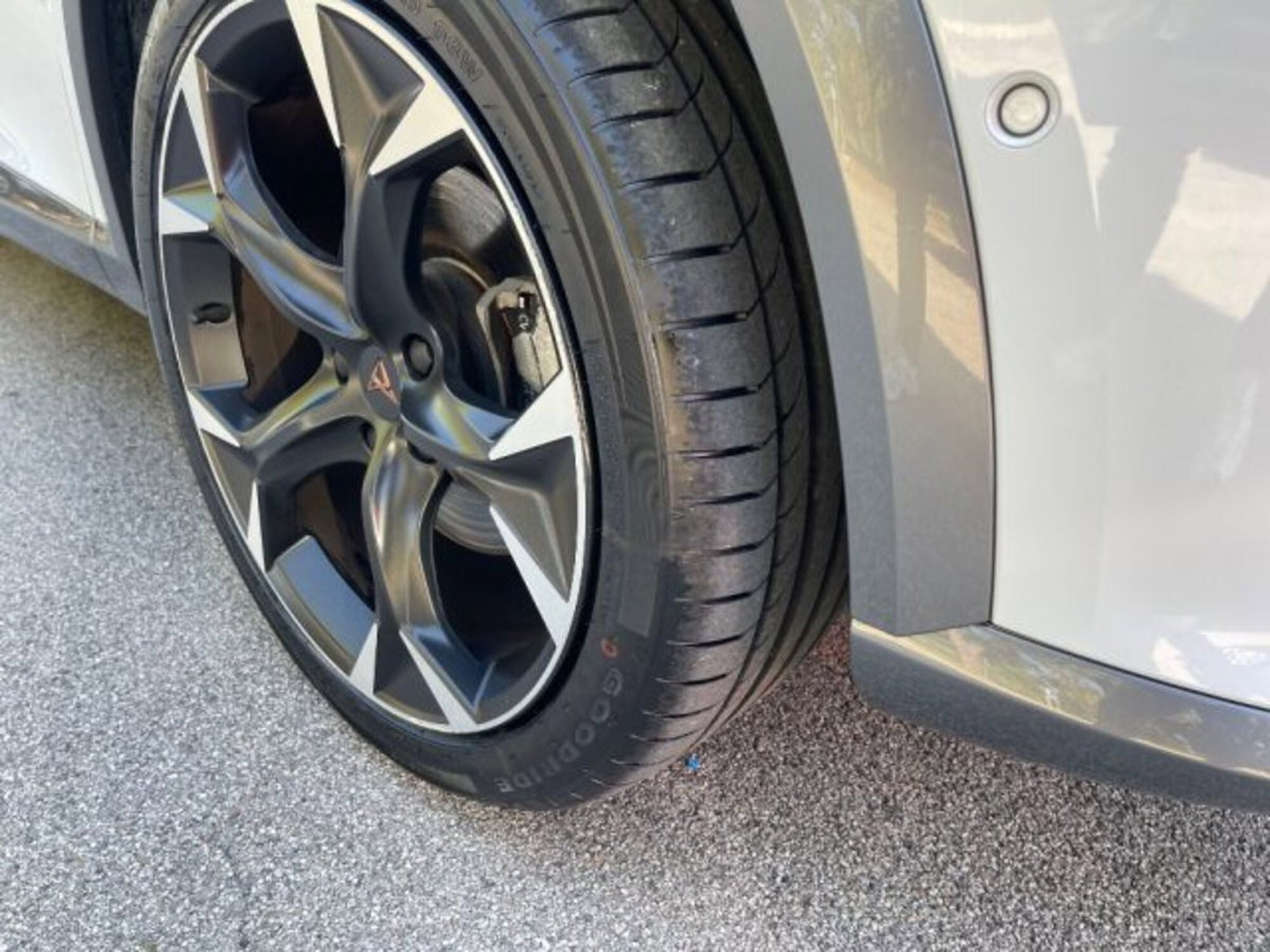 Cupra Formentor Formentor 2.0 TDI (9)