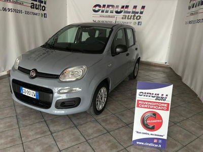 Fiat Panda 1.2 Easy usata