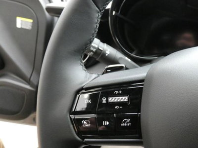 Alfa Romeo Junior 1.2 ibrida Speciale 145cv edct6 (11)