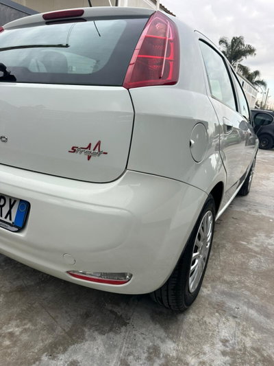 Fiat Punto 1.3 MJT II S&S 85 CV 5 porte ECO Lounge (7)