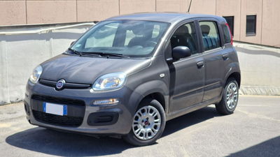 Fiat Panda Cross Cross 1.0 FireFly S&S Hybrid usata