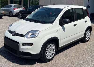Fiat Panda 1.2 EasyPower Sport usata