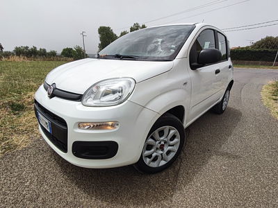 Fiat Panda 0.9 TwinAir Turbo Natural Power Lounge usata
