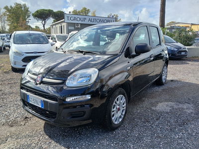 Fiat Panda 1.2 Lounge usata