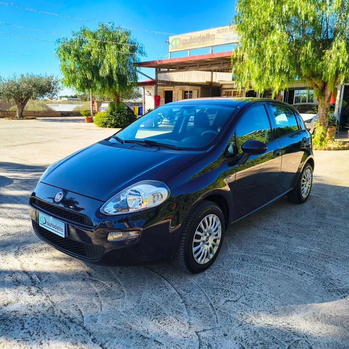 Fiat Punto 1.2 8V 5 porte Street