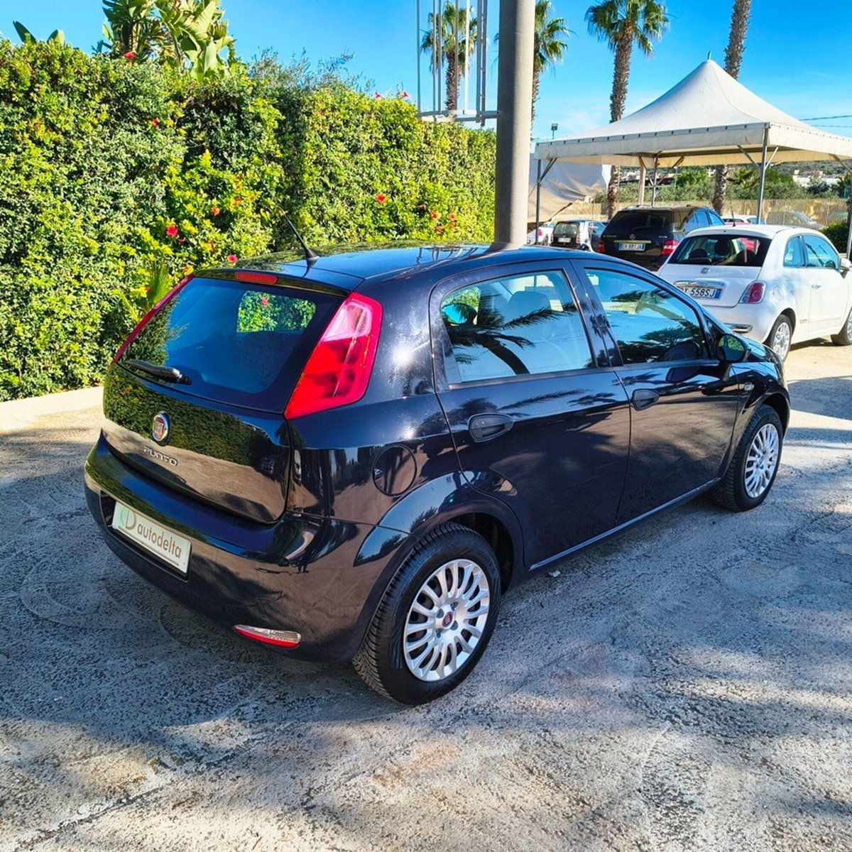 Fiat Punto 1.2 8V 5 porte Street (3)