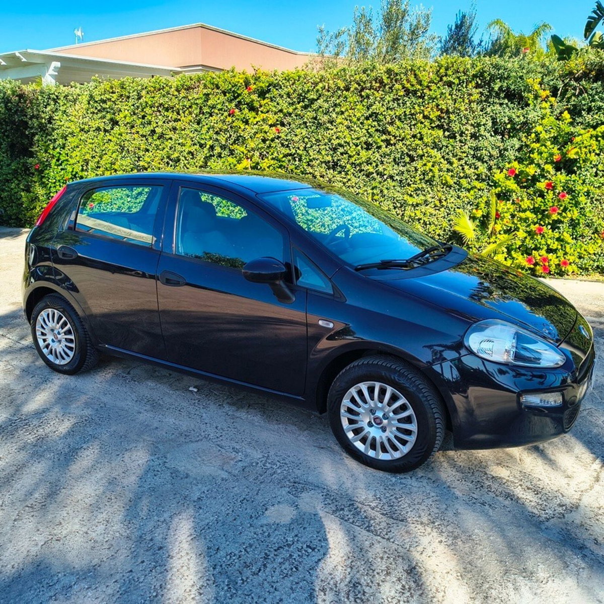 Fiat Punto 1.2 8V 5 porte Street (4)