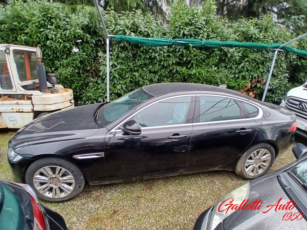 Jaguar XF 2.0 D 180 CV aut. Prestige (3)