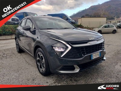 Kia Sportage 1.6 crdi mhev Business dct usata