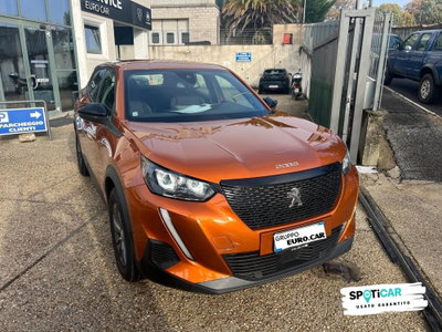 Peugeot 2008 PureTech 100 S&S Active Pack (3)