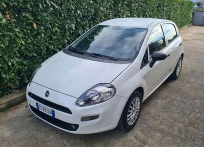 Fiat Punto 1.3 MJT II S&S 95 CV 5 porte Street usata