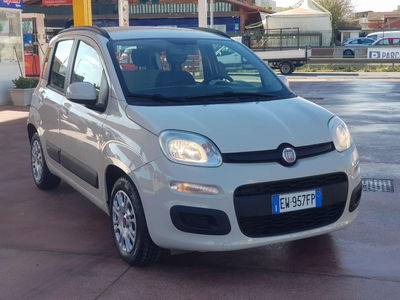Fiat Panda 1.2 Pop usata