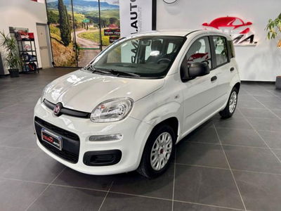 Fiat Panda 1.2 Easy usata