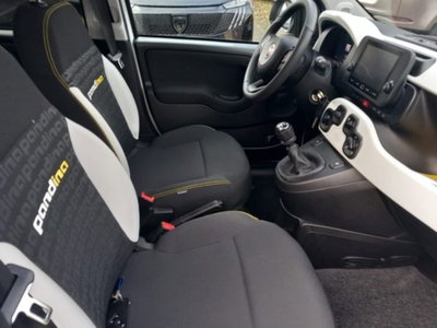 Fiat Panda 1.0 firefly hybrid s&s 70cv 5p.ti (16)
