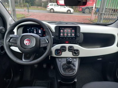 Fiat Panda 1.0 firefly hybrid s&s 70cv 5p.ti (18)