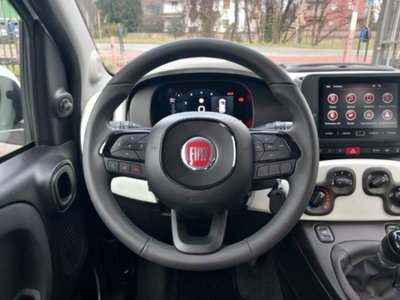 Fiat Panda 1.0 firefly hybrid s&s 70cv 5p.ti (19)