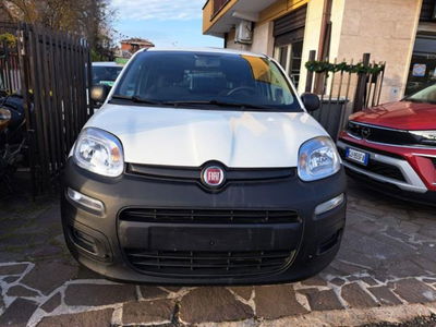 Fiat Panda 1.0 firefly hybrid s&s 70cv 5p.ti usata