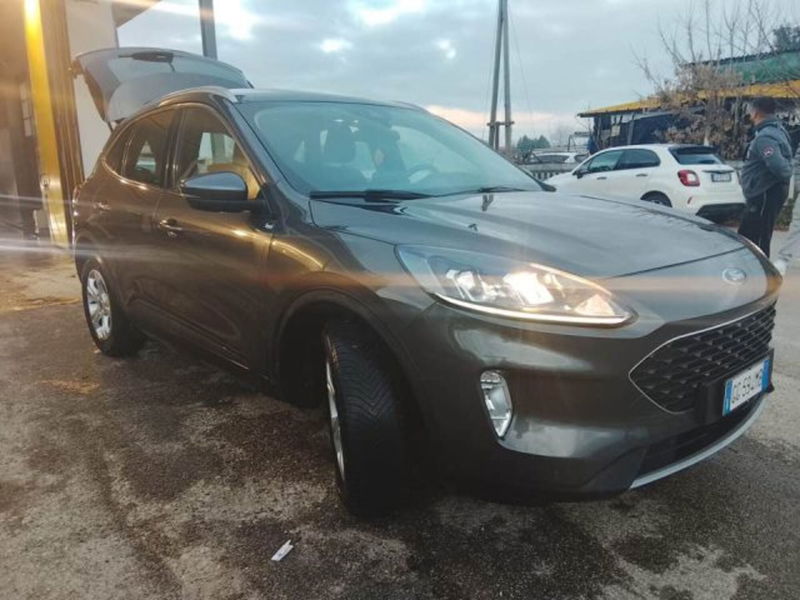 Ford Kuga 1.5 EcoBlue 120 CV 2WD ST-Line