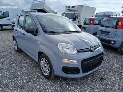 Fiat Panda 1.0 FireFly S&S Hybrid City Cross usata