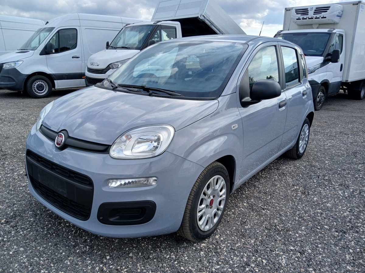 Fiat Panda 1.0 FireFly S&S Hybrid City Cross (2)